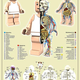Illustration for article titled The Anatomy of a Lego Minifig Is as Fascinating as It Is Spooky